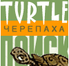 Turtle - 